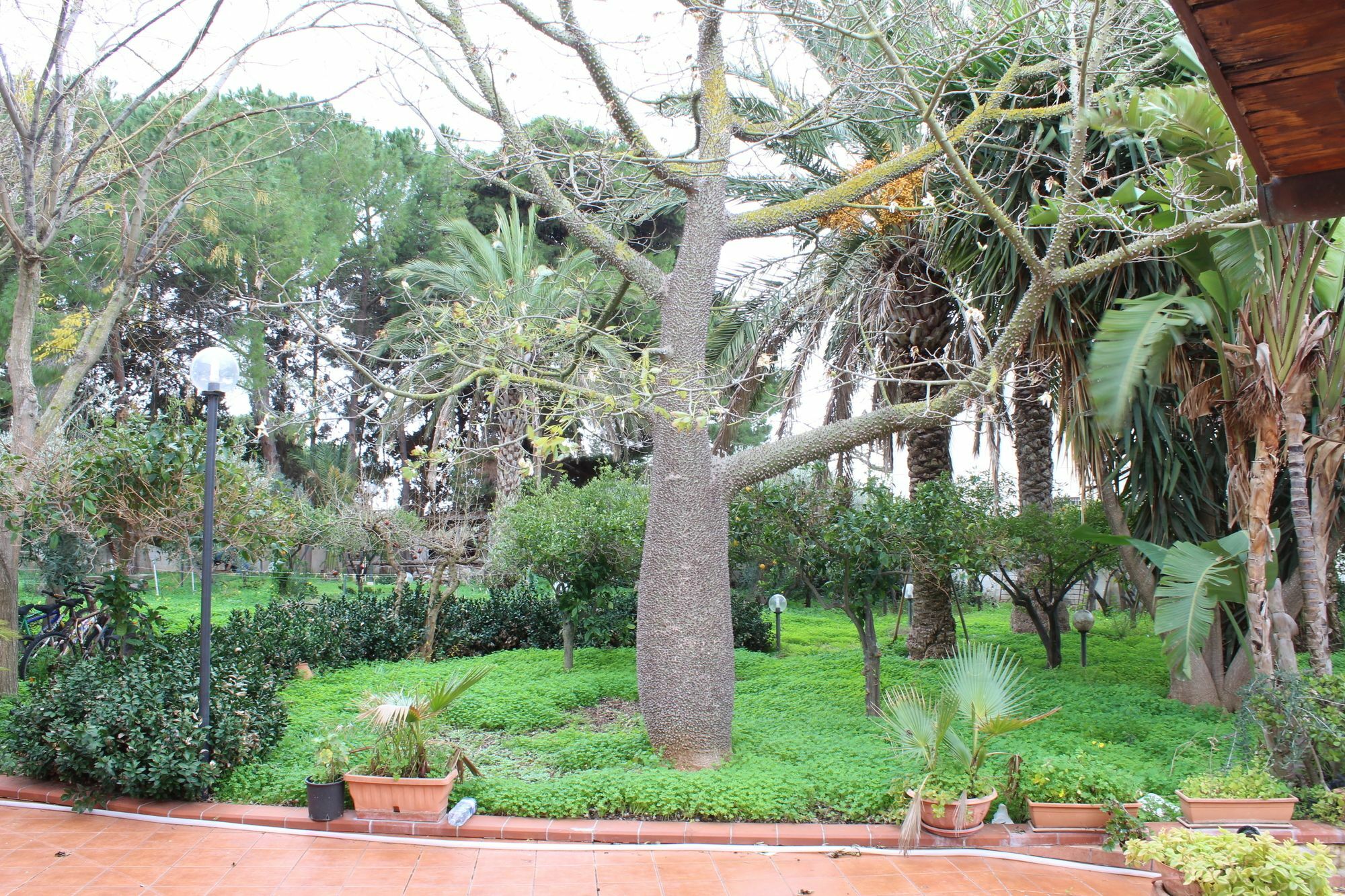 Villa delle Nifee Mazara del Vallo Esterno foto
